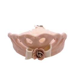 Bomboniera comunione tiara piccola Capodimonte