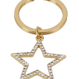 Portachiavi stella acciaio oro con strass