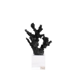 Bomboniera comunione Chiaraela corallo piccolo nero