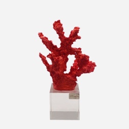 Bomboniera cresima Chiaraela corallo piccolo rosso