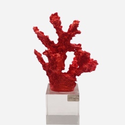 Bomboniera cresima Chiaraela corallo piccolo con base