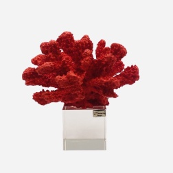 Bomboniera laurea Chiaraela corallo rosso medio con base